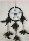 " Dreamcatcher "