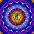 " Vishuddha - Hals od. - Kehl - Chakra "