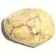 " Australischer Ammuletstein ( Ryolith od. Sternachat ) "