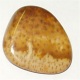 " Palmholz versteinert "